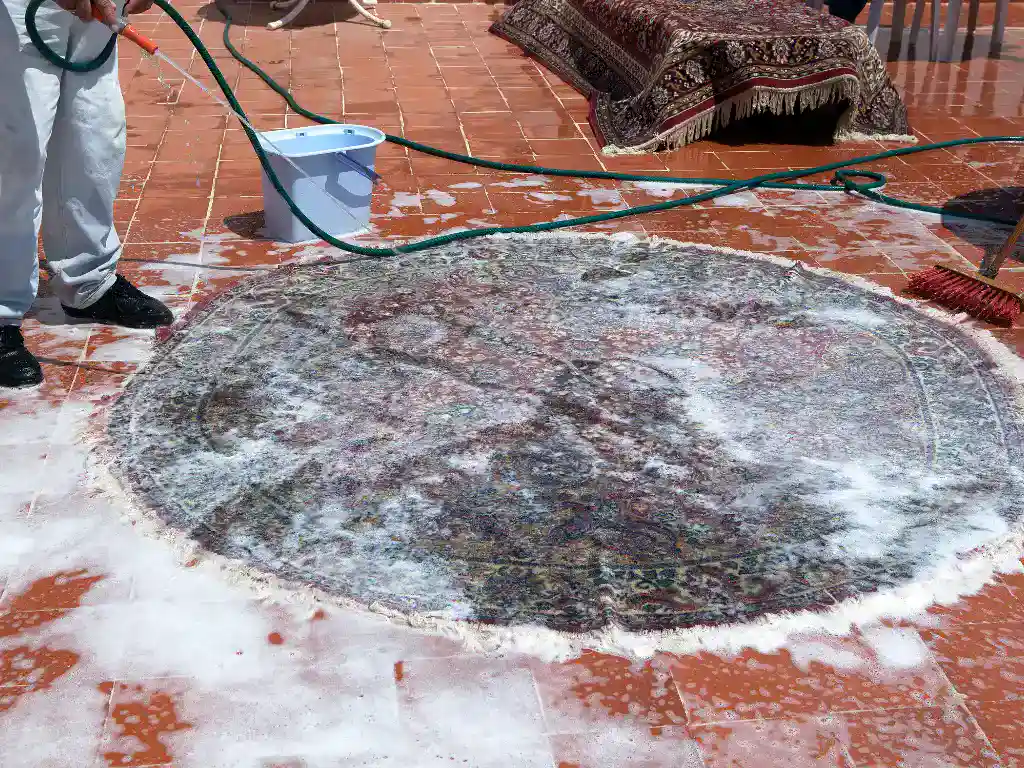 Outdoor Rug cleaning